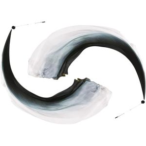 Velo de seda de baile colorido Premium Poi para entrenamiento de danza del vientre Pois lanzando bolas velo bola seda ropa de baile del vientre - Product Image 1