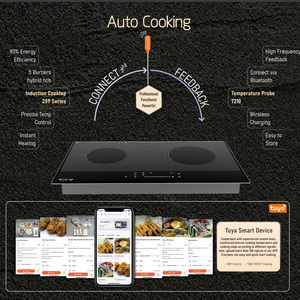 Table de cuisson infrarouge et à haute luminosité 4800W à double brûleur avec certificat CB, intégrée 220V, contrôle intelligent Tuya via WIFI - Product Image 6
