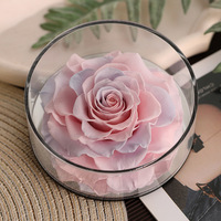 Cadeau créatif pour mariage et Saint-Valentin, têtes de roses réelles conservées, fleurs éternelles, décoration d'intérieur, rose éternelle longue durée, boîte cadeau