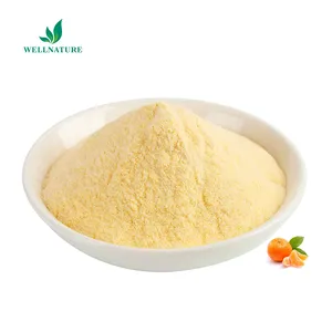 Citrus Dietary Fiber Powder Citrus Extract Powder 90% Citrus Fiber Powder