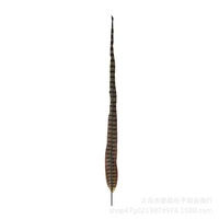 Plumes d'orange longues et artificielles en plumes de faisan pour fêtes, carnavals, décoration de maison, mariages, vases, décorations de vacances, bricolage, artisanat, costumes