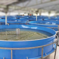 Équipement d'aquaculture intérieure en vente Réservoirs d'élevage de crevettes RAS et réservoirs d'élevage de poissons en PP
