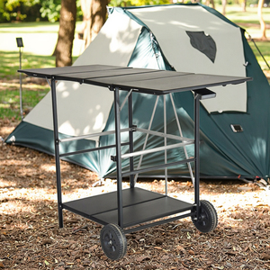 2025 Wholesale Outdoor Steel Folding <strong>BBQ</strong> <strong>Trolley</strong> with Wheel Powder Coated - Product Image 6