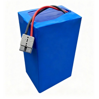 Batterie intelligente 48V pour AGV de manutention, pour l'entretien des voies à basse et haute température, avec 3000 cycles de charge