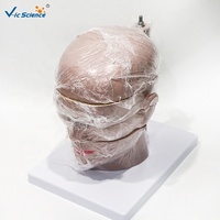Modelo de Cerebro Humano con Sección Horizontal, Modelo Anatómico Transversal del Cerebro para Enseñanza de Radiología, CE/ISO/ROHS/CNAS