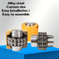 Accouplement de chaîne à double rouleau en acier SFS, amortisseur de chocs pour entraînement de moteur pour machines-outils CNC