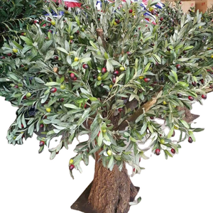 Arbre d'<span class=keywords><strong>olivier</strong></span> artificiel en fibre <span class=keywords><strong>de</strong></span> verre vert, 300 cm <span class=keywords><strong>de</strong></span> haut, large, durable, mini, réaliste, résistant aux UV, vente en gros, faible MOQ - Product Image 1