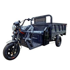 Tricycle électrique cargo pour adultes 1000W, certifié CCC, fabriqué en Chine - Product Image 1