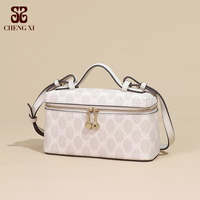 Sac à déjeuner tendance imprimé 2025, sac à bandoulière polyvalent pour femme, sac à maquillage carré fait à la main, sac à main tendance pour femme