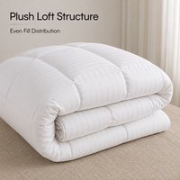 Couette Blanche Taille Personnalisée pour Hôtels, Toutes Saisons (Été, Hiver), Direct Usine, Fournisseur Exportateur
