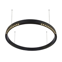 Nouveau design 2026 : Suspension LED circulaire linéaire de 800 mm avec anneau et module spot à faible UGR, contrôlable par DALI