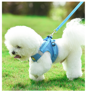 Adjustable Soft Padded Reflective Oxford Vest for Small <b>Dogs</b> Easy Control Handle <b>Button</b> No-Choke Pet Harness Personalized Leash - Product Image 3