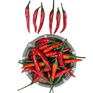 Emballage personnalisé Produit agricole vietnamien Vente en gros à bas prix Piment et légumes frais Épices transformées brutes Vietnam - Product Image 1