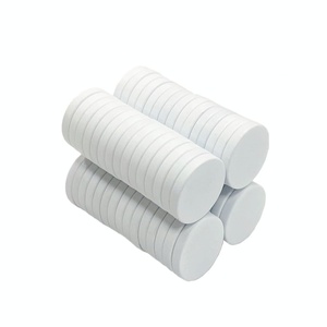전문 제조업체 화이트 에폭시 코팅 영구 희토류 NdFeB 자석 라운드 디스크 - Product Image 1