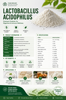 Poudre de probiotiques lyophilisée Lactobacillus Acidophilus pour boissons solides et fermentations de yaourt