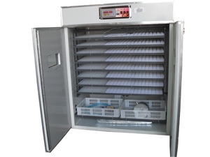 Hot bán 1056 trứng lồng ấp công nghiệp lớn đơn vị tự động cho nở gà vịt ngỗng chim cút đà điểu 220V mới - Product Image 4