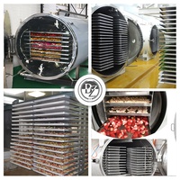 GYFD-100 ㎡   Vacuümvriesdroger voor groenten en fruit, automatische fruitvriesdroogmachine/vriesdroger prijs