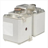 Piezas Electrónicas de Bajo Voltaje, Fusible de Alta Capacidad de Ruptura (HRC) de 250A 1000V F170M4814