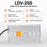 Alimentation LED étanche 250W 12V 20.8A IP67, adaptateur de commutation scellé LDV-250 pour éclairage paysager et signalétique dynamique