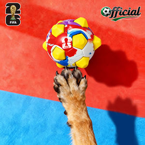 Jouet pour animaux de compagnie officiel <span class=keywords><strong>FIFA</strong></span> sous licence, lanceur de ballon de football interactif pour chien, jeu de tir à la corde, jeu de récupération pour chien, entraînement au football, jouet à mâcher qui couine - Product Image 4