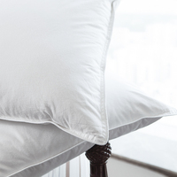 Oreillers de luxe en microfibre alternative au duvet, lot de 2, taille standard, oreillers de lit d'hôtel