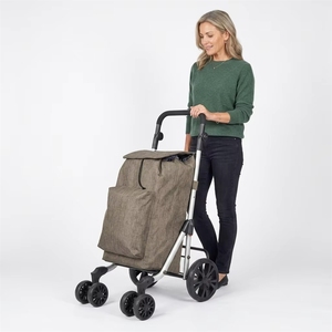 Chariot de courses pliable robuste <span class=keywords><strong>à</strong></span> <span class=keywords><strong>6</strong></span> <span class=keywords><strong>roues</strong></span>, chariot d'épicerie portable, cadre en aluminium léger, utilitaire avec grand sac - Product Image 1