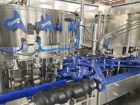 Machine de remplissage et de scellage entièrement automatique pour canettes en aluminium de 330 ml, 350 ml et 500 ml pour boissons gazeuses