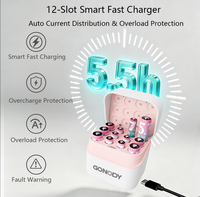 Chargeur de piles AA/AAA à 12 emplacements avec prise en charge 1.2V/1.5V, charge rapide PD, entrée Type-C, écran LCD intégré et éclairage LED