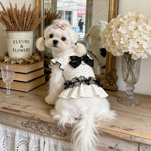 Hi Kitty polka dot lace dress, summer thin, breathable, cute <b>clothes</b> for <b>cats</b> and dogs, Teddy, Bichon Frise, and small dog - Product Image 3