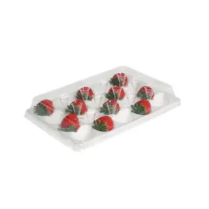 China Lieferant durchsichtige transparente rechteckige Kunststoffbox für Erdbeere, Blasenfrüchte Gemüse Clamshell 12 Erdbeeren-Obstboxen