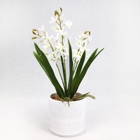 Plante artificielle de fleurs de Vanda de 40 cm de haut avec pot en ciment pour la décoration de la maison