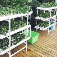 Sistem Rumah Kaca Pertanian Vertikal Kecil Terbaik untuk Penanaman Hidroponik dengan ABS Kelas Makanan dan Hemat Air