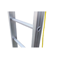 Ventes de pointe moderne robuste 2X10 étape 20ft 2 sections Double extension échelle droite en aluminium avec crochet 330lb EN 131