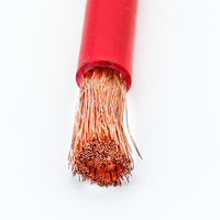 Großhandel Batterie kabel Automotive DC 25mm 35mm 50mm 70mm Rot Schwarz Lithium Batterie kabel Draht