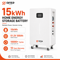 Baterai Lithium LiFePO4 Ginza Gen5 51.2V 330Ah 15kWh Split Wall-Mounted, 10000 Siklus, Garansi CAN untuk Inverter Rumah Off Grid