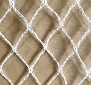 Agriculture Plastic Cover Anti Bird <strong>Net</strong> Protect Knitted Mesh Netting Hdpe Knitted Garden Fabric - Product Image 3