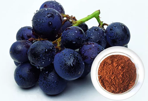 Suplemento natural de sementes de uva CAS No.4852-22-6 cápsulas de extrato de sementes de uva de baixo preço - Product Image 3
