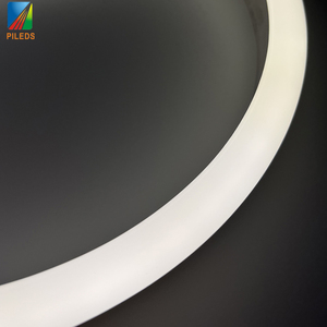 Bande Led étanche IP68, 12/24V, rouge, bleu, ruban lumineux 5050, 2835, 120Led/m, <span class=keywords><strong>Tube</strong></span> en Silicone, décoration de la maison, néon - Product Image 4