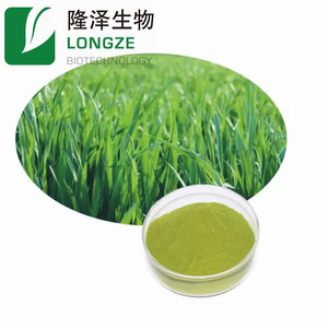 Poudre de jus <span class=keywords><strong>d</strong></span>'herbe <span class=keywords><strong>d</strong></span>'<span class=keywords><strong>orge</strong></span> de haute qualité approvisionnement en extrait de plante de qualité supérieure - Product Image 4