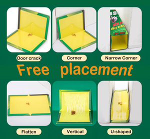 Piège <span class=keywords><strong>à</strong></span> rats non toxique grand format avec formule sans danger pour les animaux domestiques et adhésif <span class=keywords><strong>à</strong></span> prise instantanée pour usage intérieur/extérieur (maison/cuisine) - Product Image 3