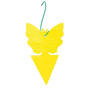 Fruits Pièges À Mouches (Paquet De 20), Jaune Collant Pièges À Mouches pour les Plantes D'intérieur Insectes - Product Image 3