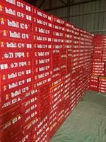 Boisson fonctionnelle améliorée à la vitamine de China Red Bulls, 250ml, livraison directe en entrepôt, vente en gros de boissons énergisantes
