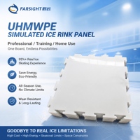 Panneaux de glace synthétique UHMWPE sur mesure, plaque de glace artificielle, panneaux de patinoire portable, OEM
