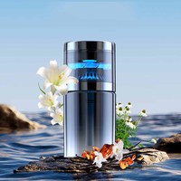 Diffuseur d'arômes pour voiture d'usine, désodorisant pour voiture 160 ml, diffuseur de parfum de luxe pour voiture avec flacon vide, diffuseur pour voiture