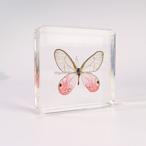 <span class=keywords><strong>Papillon</strong></span> coloré en résine époxy, cristal transparent, décoration d'intérieur, <span class=keywords><strong>papillon</strong></span> du coucher du soleil, presse-papier en résine, jouets pour enfants - Product Image 5