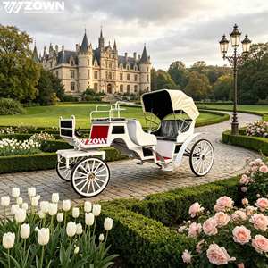 Sightseeing Modern Portable <b>Black</b> Horse Driven 4-Wheel Canopy Luxury Tourist Chariot Victoria Touring Carriage - Product Image 1