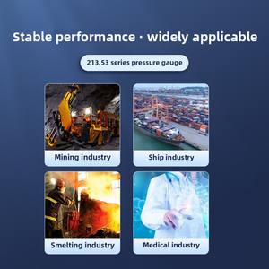 213.53 시리즈 황동 소재 <span class=keywords><strong>WIKA</strong></span> <span class=keywords><strong>EN837</strong></span> 모든 스테인리스 스틸 100mm 바닥 마운트 압력 게이지 - Product Image 4