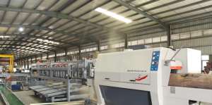 Overzeese service ter plaatse beschikbaar |   Automatische houtbewerkingszaagmolen productielijn - Product Image 2