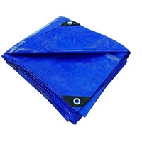 Bâche en plastique bleue imperméable en polyéthylène pour couverture extérieure, vente en gros d'usine à prix abordable