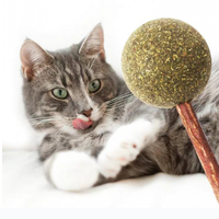 Vente en gros de boules d'herbe à chat naturelles Silvervine Stick avec boule de chat à la menthe pour chats